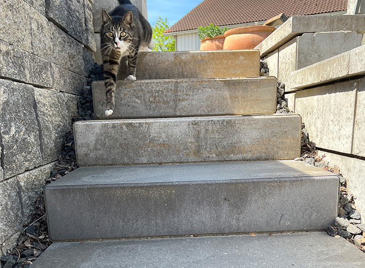 STEPSTONE STUFE